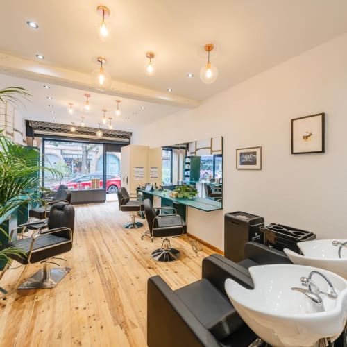 Studio Z - Coiffure Strasbourg - Studio Z - Photo Galerie - OneBooking