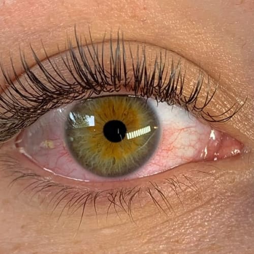 Chez lu’cils - Sourcils & cils Rueil-Malmaison - Chez lu’cils - Photo Galerie - OneBooking