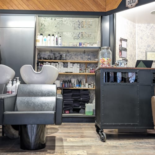 Ladies&Gentlemen - Coiffure Calais - Ladies&Gentlemen - Photo Galerie - OneBooking
