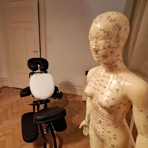 Espace Foch — Shiatsu & Médecine Traditionnelle Chinoise - Institut de beauté Strasbourg - Espace Foch — Shiatsu & Médecine Traditionnelle Chinoise - Photo Galerie - OneBooking