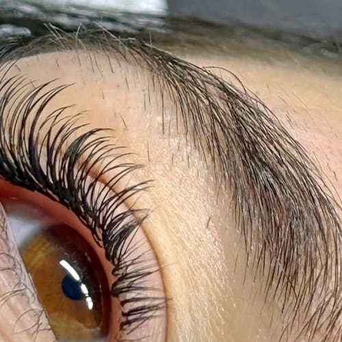 Dreamy Glam - Sourcils & cils Corbeil-Essonnes - Dreamy Glam - Photo Galerie - OneBooking