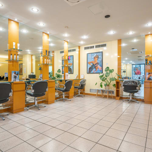Camille Albane - Arras - Coiffure Arras - Camille Albane - Arras - Photo Galerie - OneBooking