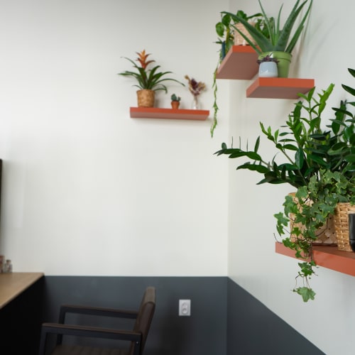 La poudrière - Coiffure Strasbourg - La poudrière - Photo Galerie - OneBooking
