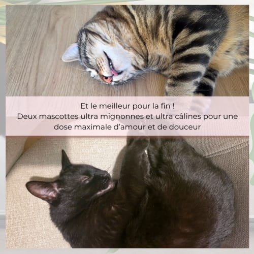 Rubis Beauty - Institut de beauté Nîmes - Rubis Beauty - Photo Galerie - OneBooking