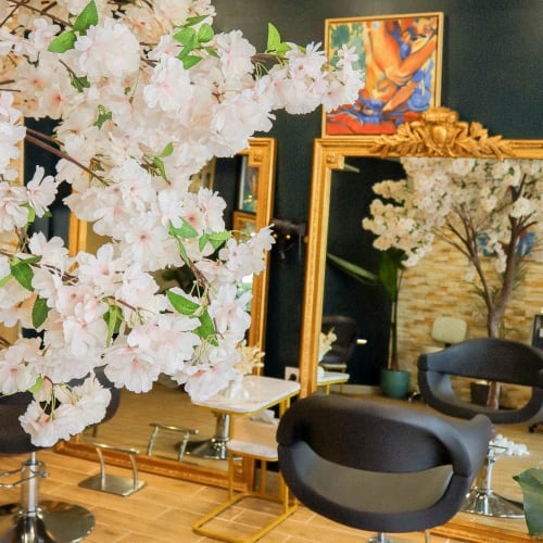 Maison Muses - Coiffure - Coiffure Toulouse - Maison Muses - Coiffure - Photo Galerie - OneBooking