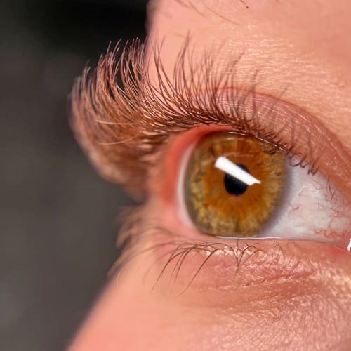 STUDIO LD - Sourcils & cils Calais - STUDIO LD - Photo Galerie - OneBooking