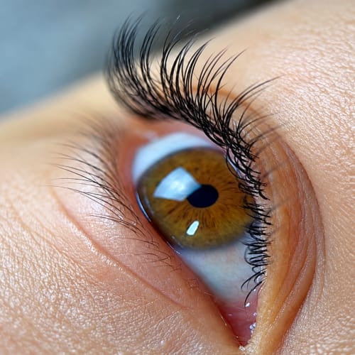 C comme cils – Concept beauté - Sourcils & cils La Seyne-sur-Mer - C comme cils – Concept beauté - Photo Galerie - OneBooking