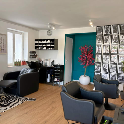 Trendy by Milano - Coiffure Ondres - Trendy by Milano - Photo Galerie - OneBooking