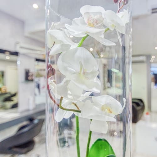 Tangopium - Coiffure Châteauroux - Tangopium - Photo Galerie - OneBooking