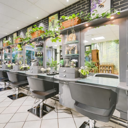 Coiffure Stephane Paillaugue - Coiffure Mont-de-Marsan - Coiffure Stephane Paillaugue - Photo Galerie - OneBooking