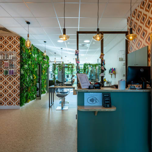 Thibaut Coiffure - Coiffure Nîmes - Thibaut Coiffure - Photo Galerie - OneBooking