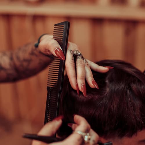 La barbe Sauvage - Barbier Bordeaux - La barbe Sauvage - Photo Galerie - OneBooking