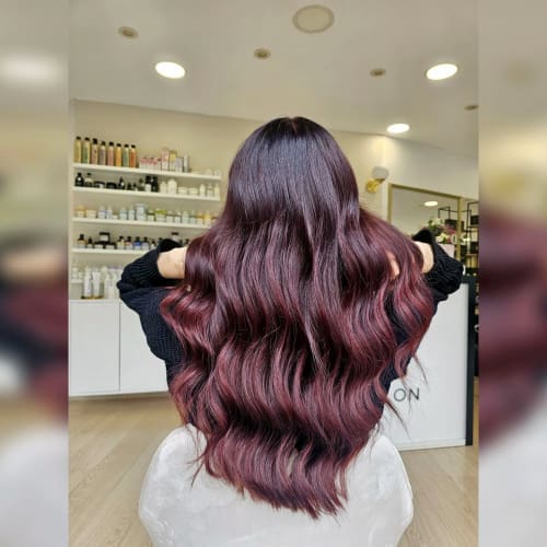 LS - Le Salon - Coiffure Pézenas - LS - Le Salon - Photo Galerie - OneBooking