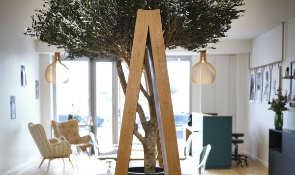 Louis Ludovic Coiffeur