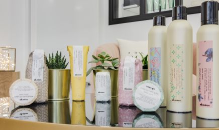 Anne claire artisan coiffeur  : Coiffeur à Champagne-au-Mont-d'Or