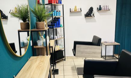 Un Hair de Rébellion  : Coiffeur à Roye