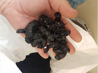 Wyciskarka do folii-