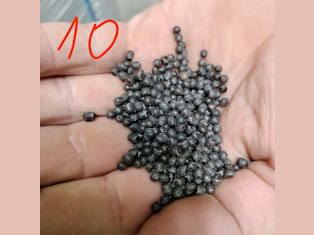 RHips V MFI 10 D