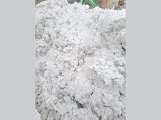 Screenings from the second