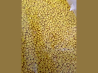 Regranulation of plastics