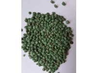 PP green regranulate