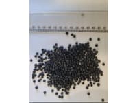 Black HDPE Regranulate