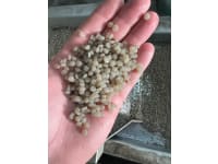 LDPE regranulate translucent