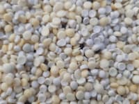 Granulate 