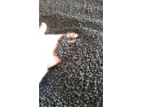 Regranulate PP / HDPE