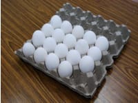 do-produkcji-biodegradowalnych