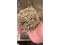 86307983-1b3f-4218-adff-4b9643a1fbb5