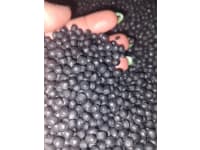 img-20230718-084915016