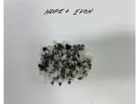 hdpe-evoh