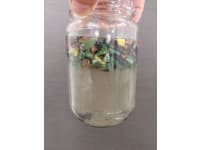 regrind-from-hdpe-waste-bins-3