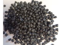 ldpe