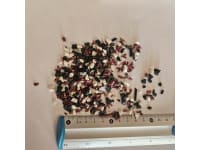 pa-66-gf-mosaic-fr