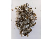 whatsapp-image-2026-03-03-at-12-46-26