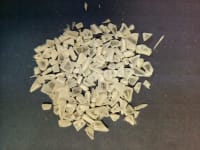 p-mabs-transp