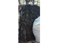 screenshot-20221107-083237