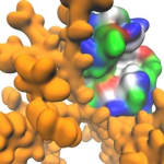 Scientists create multifunctional…
