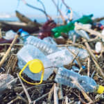 EU deal to ban single-use…