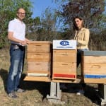 Gabriel-Chemie gives bees…