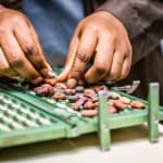 Sidel i Niche Cocoa łączą…