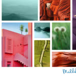 Inspirations from nature help…