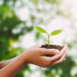 SABIC debuts a novel bio-based…