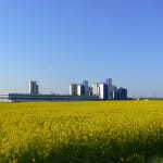 Neo Group results impacted…