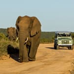 South Africa leading the African…