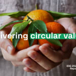 IFCO publikuje Raport ESG&amp;hellip;