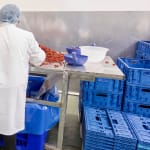 Fiordelisi zwiększa efektywność&amp;hellip;