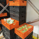 Almeda buduje łańcuch dostaw&amp;hellip;